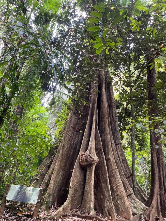 Hunny Home Ko Yao Noi Dış mekan fotoğraf
